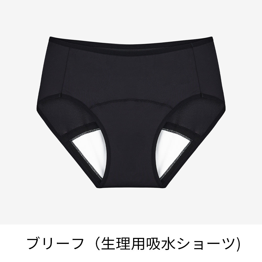 ダンセク ウェルカムキット(生理用吸水ショーツ)